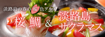 春の風物詩 桜鯛＆サクラマス