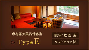 Type E